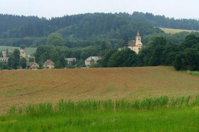 Plzeňské biskupství chce zlepšit hospodaření na svých zemědělských pozemcích