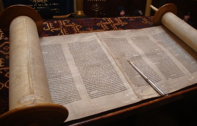 Odpověď profesoru Halíkovi