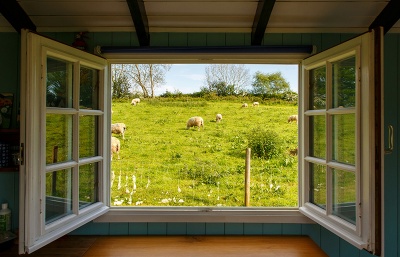 Proč jsem odešla z Pracovní skupiny pro sociální otázky ČBK