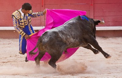 Papežovu generální audienci narušily aktivistky protestující proti býčím zápasům