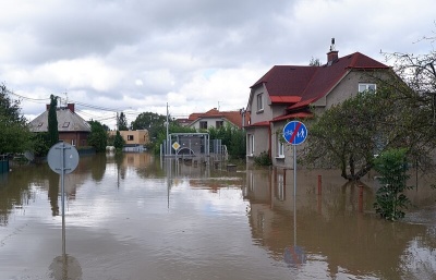 Kostelní sbírka na pomoc obětem záplav vynesla téměř 50 milionů korun
