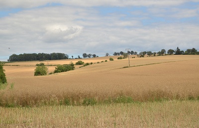 Masakr na Švédských šancích připomene zavěšení zvonů i mše arcibiskupa Graubnera