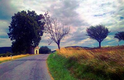 Naučit se důvěřovat Božím stopám v přírodě