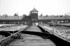Den památky obětí holokaustu připomíná osvobození Osvětimi. Ruská delegace nebyla pozvána