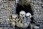 Kosti z kutnohorské kostnice čeká náročné stěhování kvůli rekonstrukci