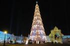 Vánoční strom z bavorsko-českého pohraničí se ve Vatikánu postaral o rozruch 